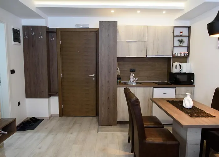 Leki Апартаменты Копаоник